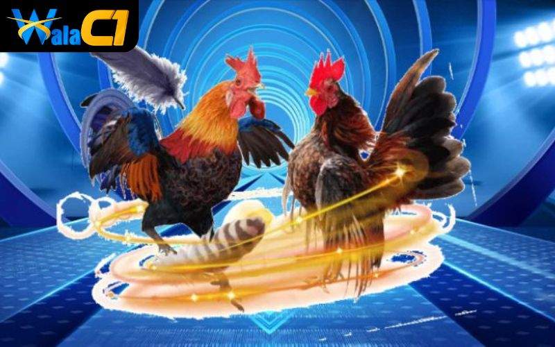 Các trận đấu được phát sóng không bị nhòe hay giật lag